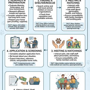 information-designs